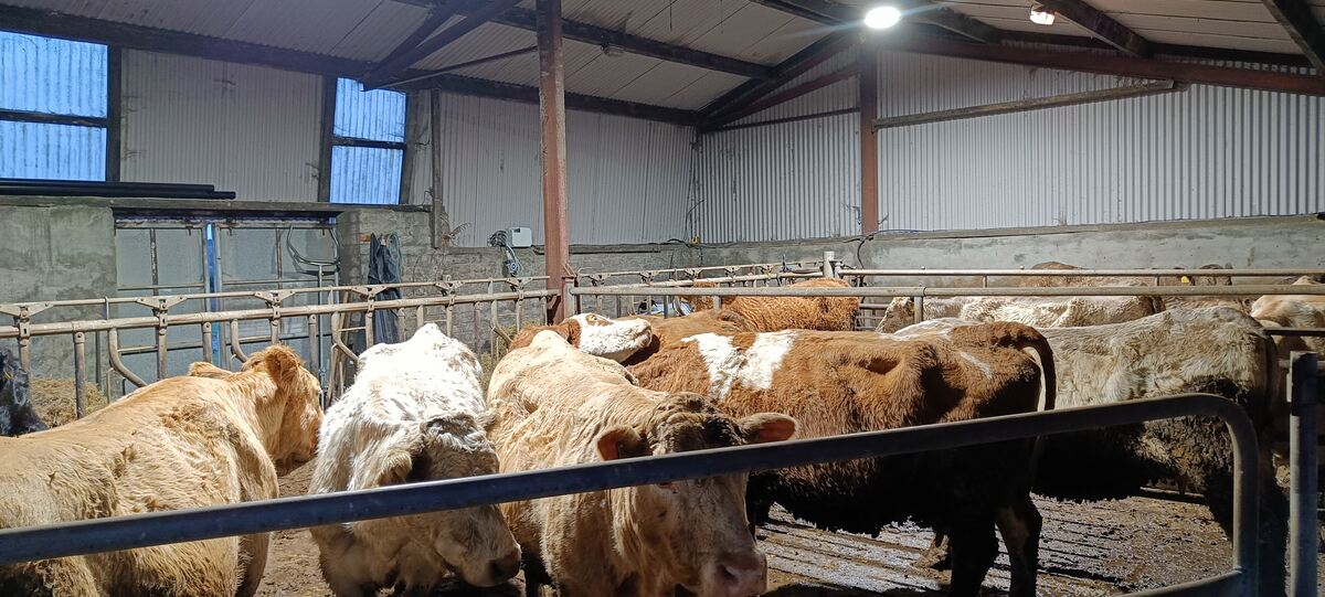 Farming technology Ireland
