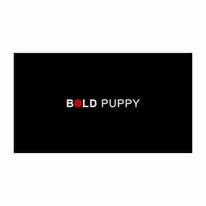 Bold Puppy Productions Bold Puppy Productions