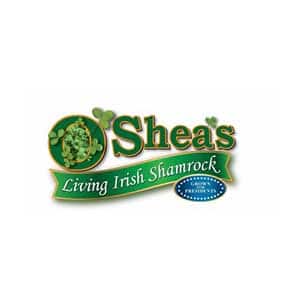 O Shea's Living Irish Shamrock O Shea's Living Irish Shamrock