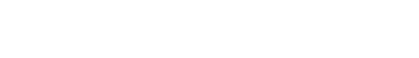 Stripe security logo