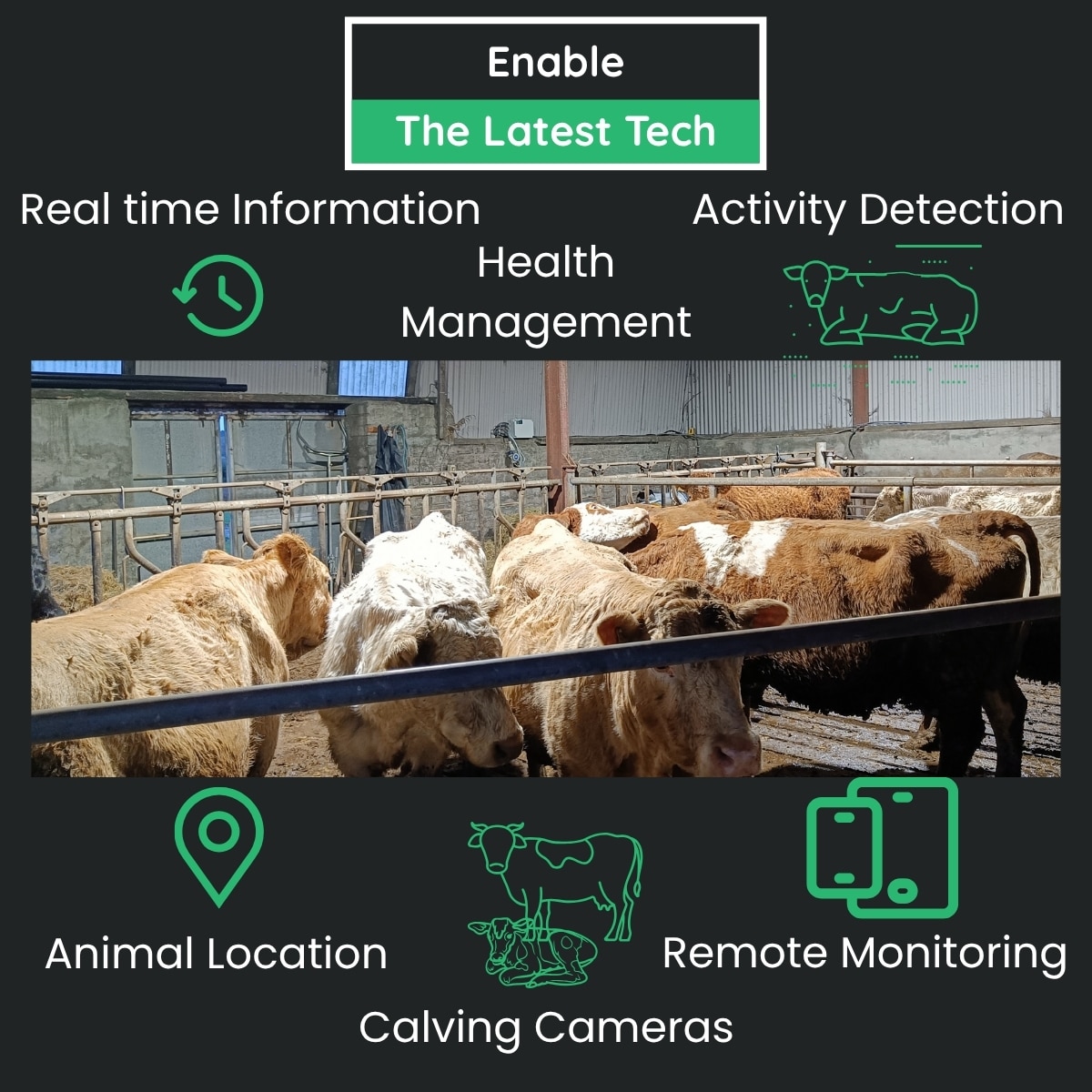 Smart Tech Solutions for Farms in Ireland