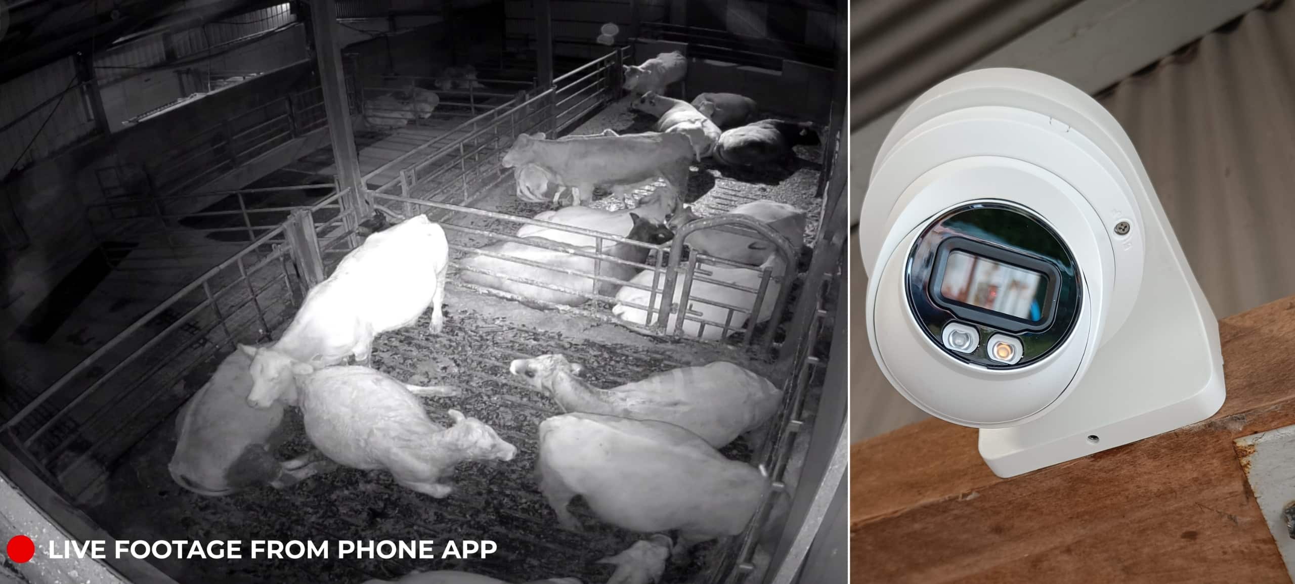 CCTV Farms